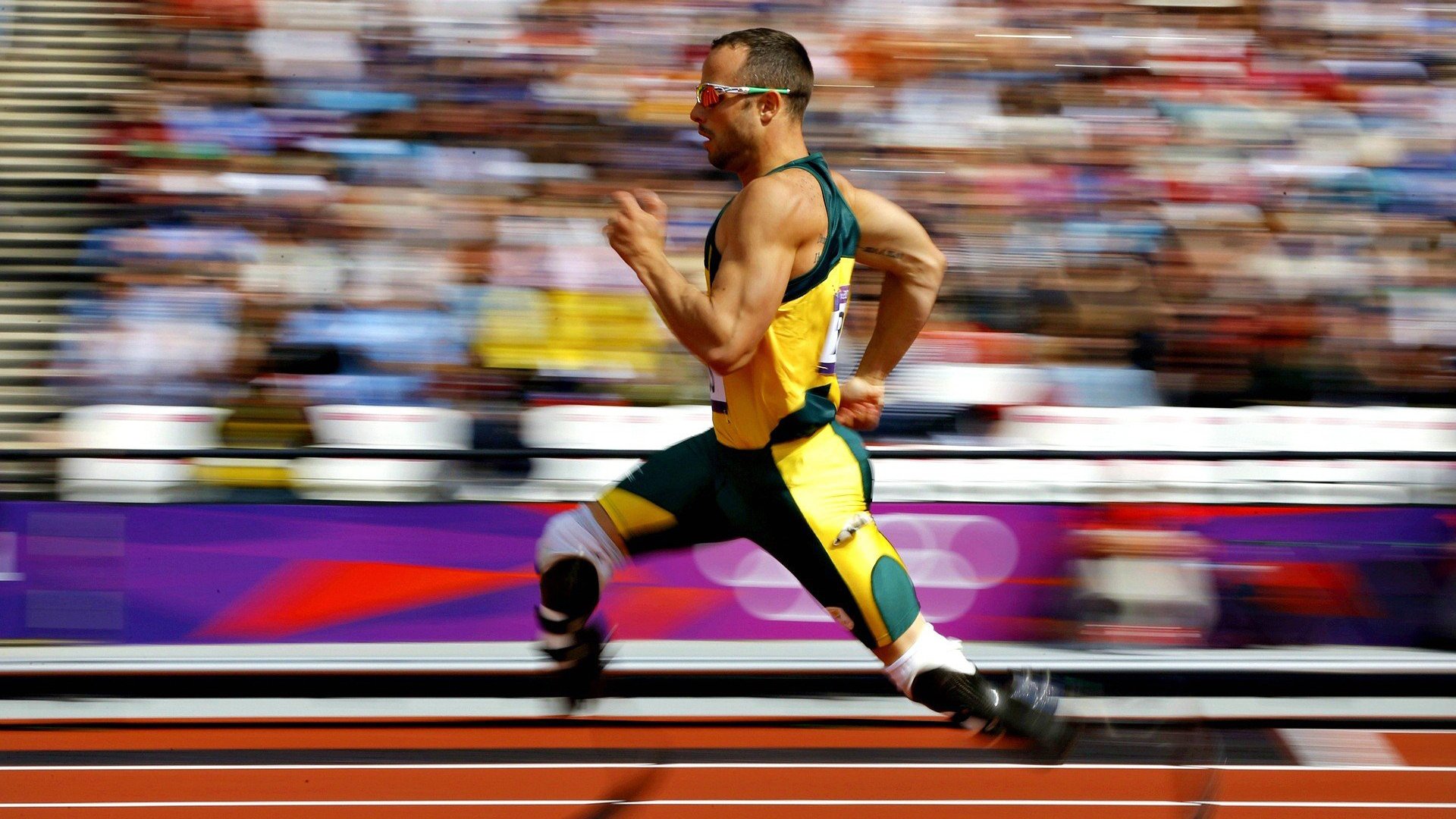 体育新闻中心奥运风采回顾,体育新闻奥运直播