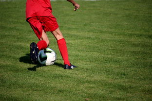 AIYOUXI.COM-职业俱乐部推动退役球员培训转型教练岗位，职业选手退役当教练